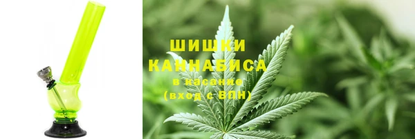 прущая мука Иннополис