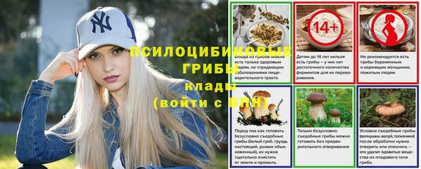 таблы Инсар