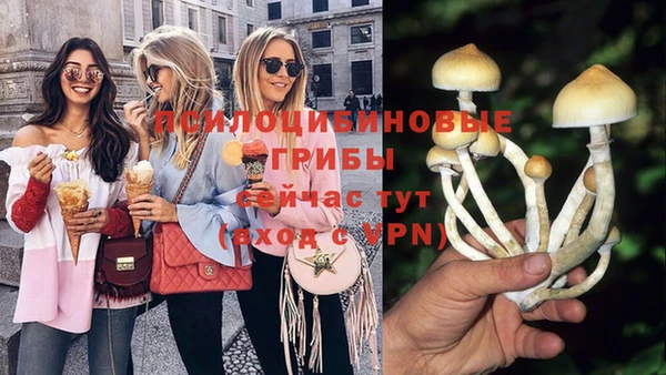 прущая мука Иннополис