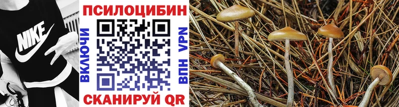 Псилоцибиновые грибы мицелий  Купить где  Великий Устюг 